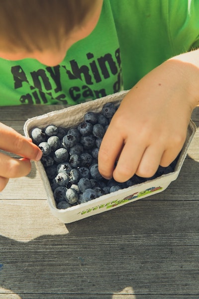 A young boy picks healthy blueberries out of a carton