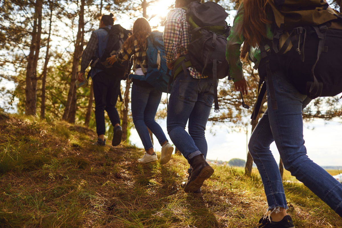 friends hiking in the forest